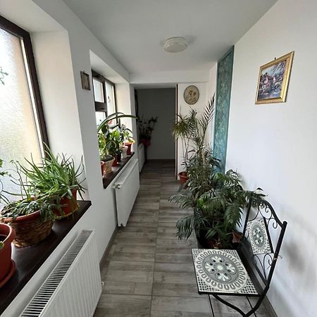 Solaria Apartment กาลาจิ ภายนอก รูปภาพ